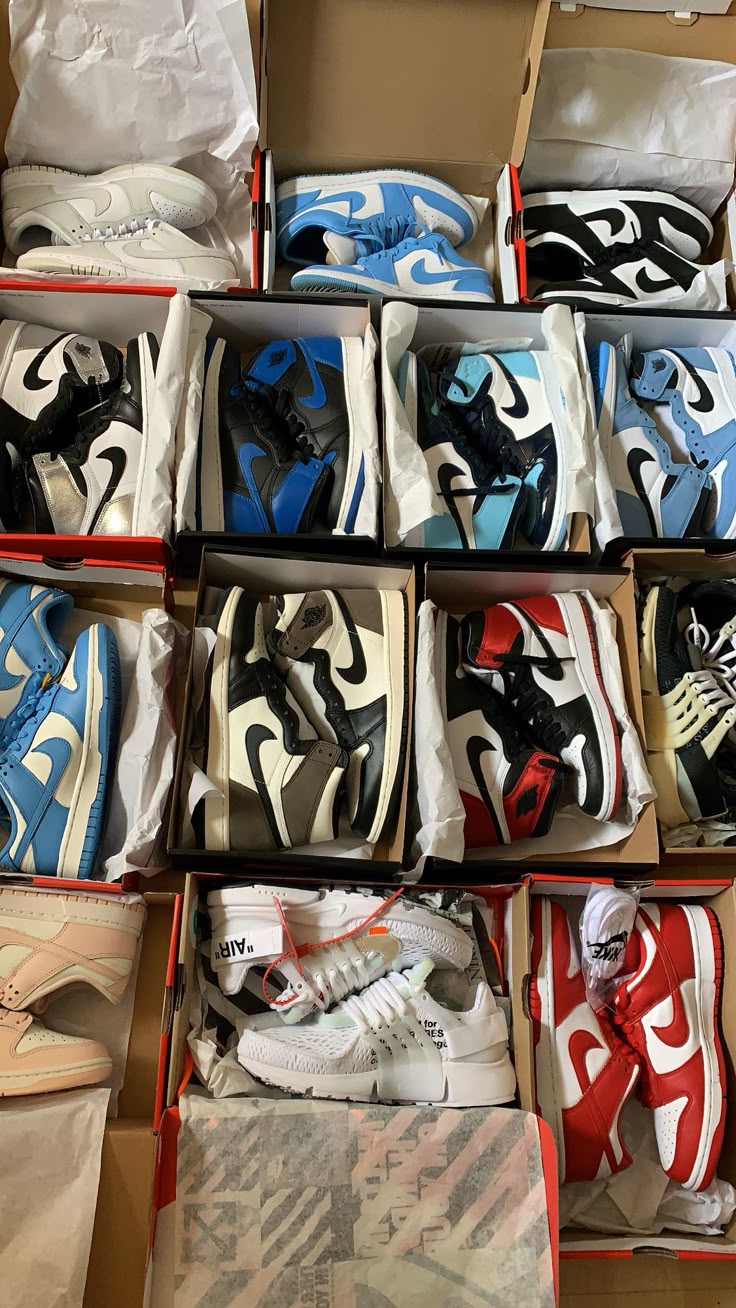 Provedores zapatillas